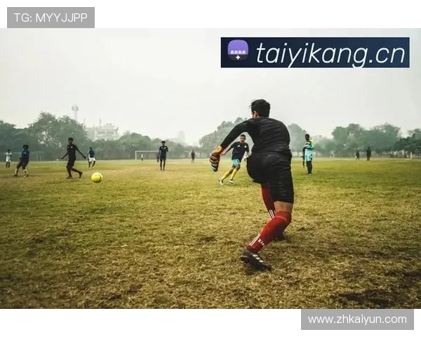 开云官方网站入口说明：开云集团官方网站入口的多渠道访问方式与使用技巧